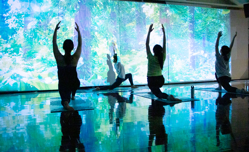 プロジェクションヨガ