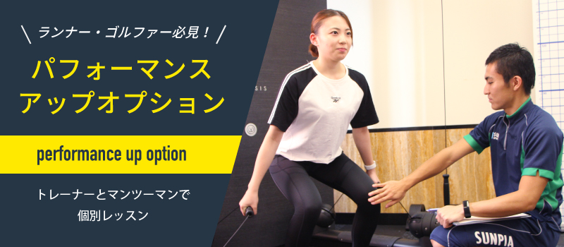パフォーマンスアップオプション